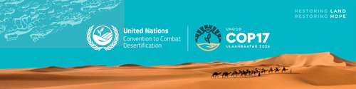 COP17: From Host Country to Negotiation Leader